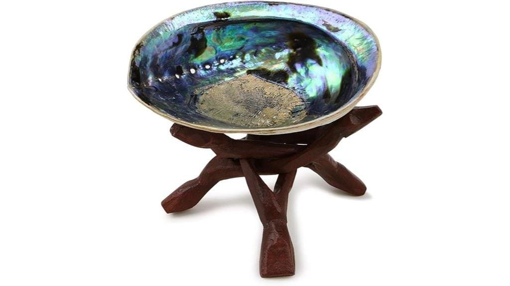 abalone shell display set